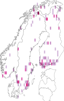 Fyndkarta för svart blåbärsknoppvecklare. Datakälla: GBIF