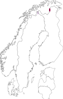 Levikukaart: Coleophora svenssoni. Andmete allikas: GBIF