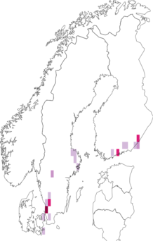 Kaarta Nemophora cupriacella. Data source: GBIF