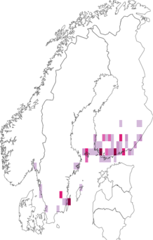 Kaarta Coleophora spinella. Data source: GBIF
