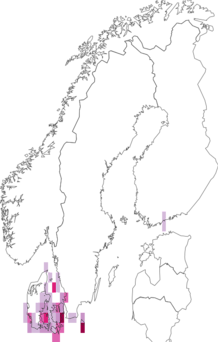 Kaarta Lithophane semibrunnea. Data source: GBIF