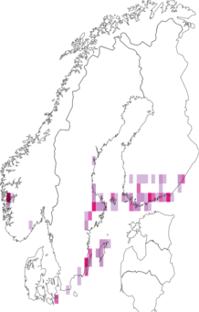 Fyndkarta för sidengult ängsmott. Datakälla: GBIF