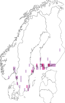 Fyndkarta för svart aspstävmal. Datakälla: GBIF