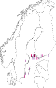 Fyndkarta för vägtornbärvecklare. Datakälla: GBIF
