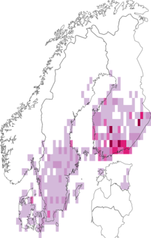 Fyndkarta för vit borstspinnare. Datakälla: GBIF