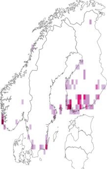 Kaarta Coleophora albidella. Data source: GBIF