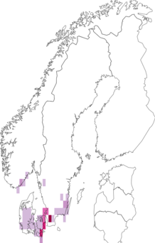 Fyndkarta för ekgulhornspinnare. Datakälla: GBIF