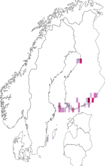 Kaarta Coleophora millefolii. Data source: GBIF