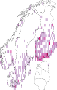 Fyndkarta för Mniotype. Datakälla: GBIF