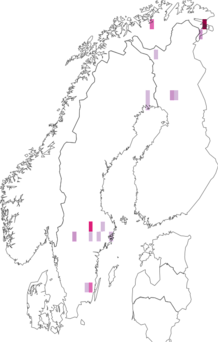 Kaarta Argyroploce lediana. Data source: GBIF