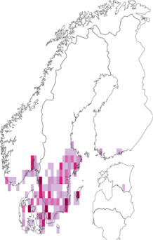 Fyndkarta för brunaktig vintermätare. Datakälla: GBIF