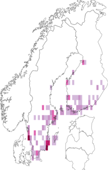 Kaarta Yponomeuta padellus. Data source: GBIF