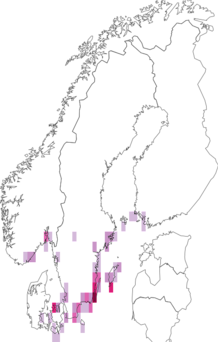 Fyndkarta för spetsvingat mossmott. Datakälla: GBIF