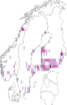 Kaarta Epermenia chaerophyllella. Data source: GBIF