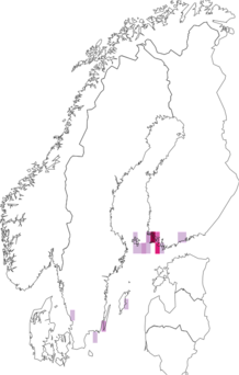 Kaarta Coleophora adspersella. Data source: GBIF