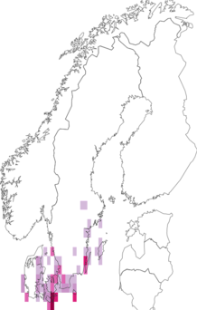 Kaarta Idaea fuscovenosa. Data source: GBIF