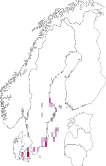 Fyndkarta för storpunktsmott. Datakälla: GBIF