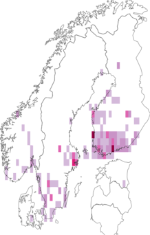 Kaarta Batrachedra praeangusta. Data source: GBIF