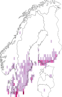 Fyndkarta för barrskogsnunna. Datakälla: GBIF