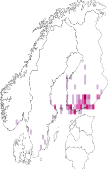 Kaarta Coleophora alnifoliae. Data source: GBIF