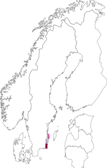 Fyndkarta för rosenvingad gräshoppa. Datakälla: GBIF