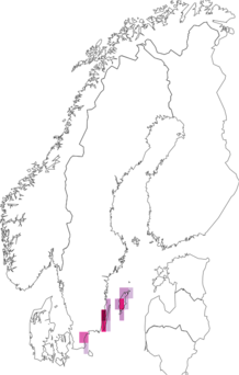 Fyndkarta för väpplingblåvinge. Datakälla: GBIF