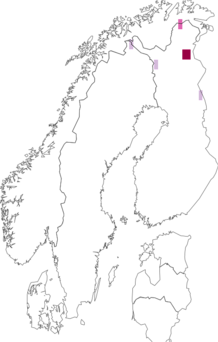 Levikukaart: Coleophora thulea. Andmete allikas: GBIF