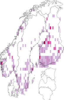 Kaarta Ypsolopha parenthesella. Data source: GBIF