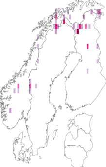 Fyndkarta för myrlångpalpvecklare. Datakälla: GBIF