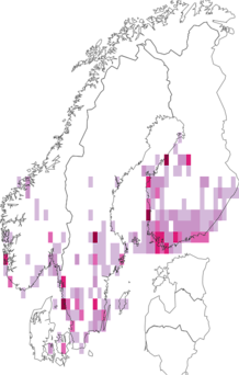 Kaarta Eupoecilia angustana. Data source: GBIF
