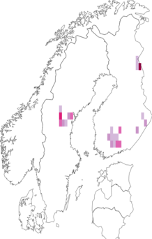 Kaarta Baptria tibiale. Data source: GBIF