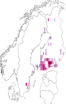 Fyndkarta för blåbärsdvärgmal. Datakälla: GBIF