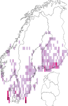 Fyndkarta för vitgrått klippfly. Datakälla: GBIF