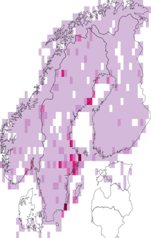 Kaarta Luscinia svecica. Data source: GBIF
