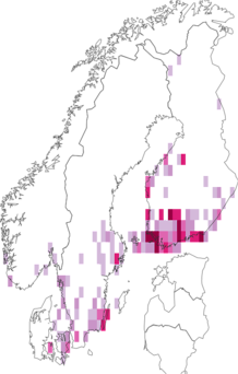 Kaarta Tinea trinotella. Data source: GBIF