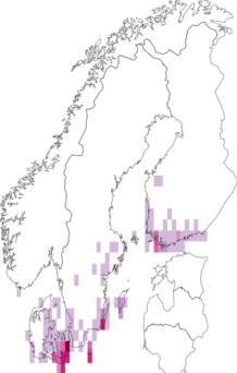 Fyndkarta för rosa jungfrufly. Datakälla: GBIF