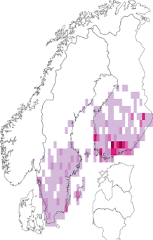 Kaarta tiikerisiilikäs. Data source: GBIF