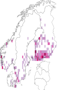 Fyndkarta för vithuvad bredvecklare. Datakälla: GBIF