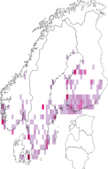 Fyndkarta för större rosenvecklare. Datakälla: GBIF