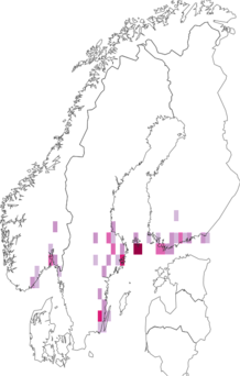 Kaarta Acleris roscidana. Data source: GBIF