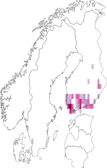 Kaarta Coleophora artemisicolella. Data source: GBIF