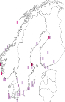 Kaarta Pluvialis. Data source: GBIF