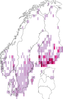 Fyndkarta för Polia. Datakälla: GBIF