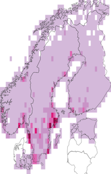 Fyndkarta för grönfink. Datakälla: GBIF