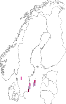 Kaarta alvariheinäsirkka. Data source: GBIF