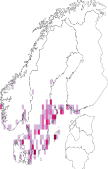 Kaarta Epirrita dilutata. Data source: GBIF