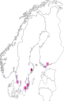 Kaarta Coleophora lutipennella. Data source: GBIF