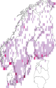 Kaarta Eremophila. Data source: GBIF