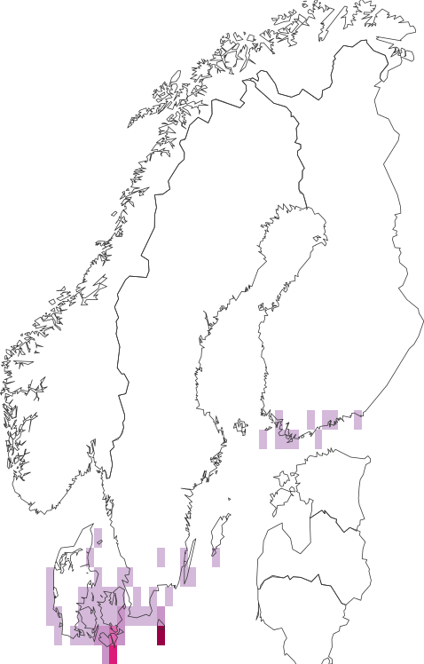 GBIF map