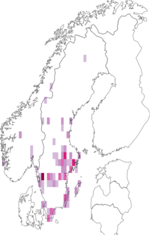 Fyndkarta för snövit bläcksvamp. Datakälla: GBIF